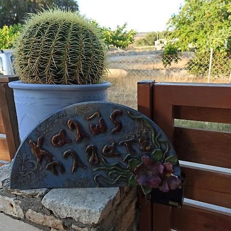 Cactus Home 칼라마키 외부 사진