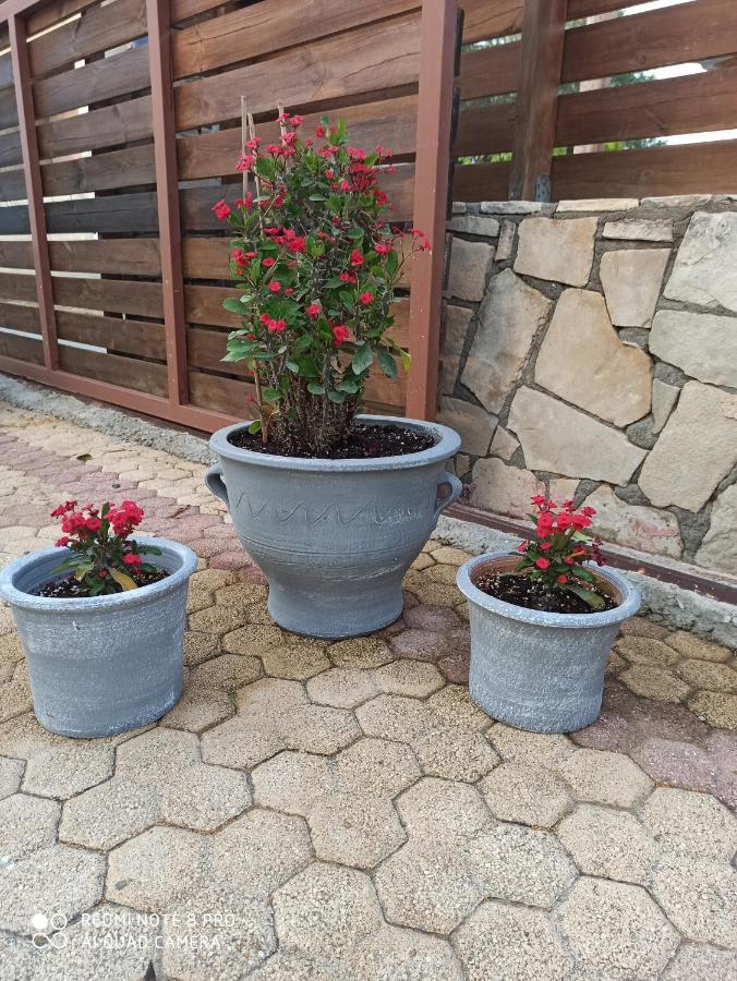 Cactus Home 칼라마키 외부 사진